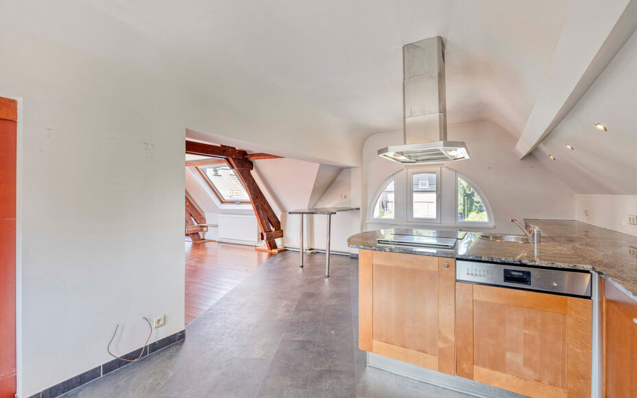 Leemans Immobiliën vous propose à la location ce spacieux et charmant appartement duplex, idéalement situé au cœur de Dilbeek.Grâce à son emplacement privilégié, commerces, écoles, transports en commun, installations sportives et grands axes rou