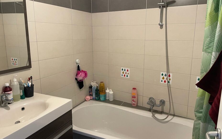 Leemans Immobiliën vous propose ce charmant appartement duplex, idéalement situé à Wetteren. À quelques pas de la gare et à proximité immédiate des grands axes routiers, des écoles, des installations sportives, des commerces et des transports en 