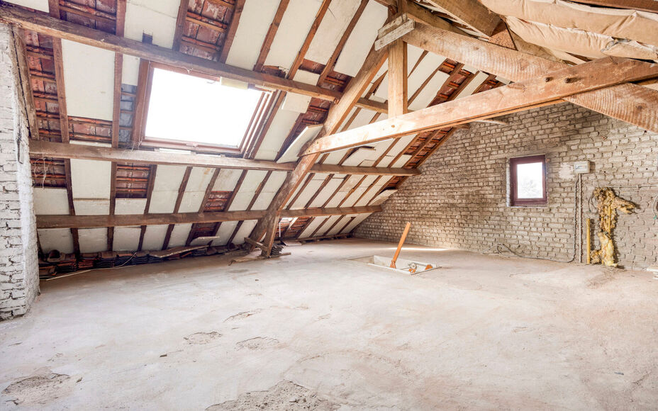 Leemans Immobiliën presenteert u deze ruime, deels te renoveren woning met prachtig perceel, ideaal gelegen in het hart van Groot-Bijgaarden.
Op wandelafstand vindt u winkels, scholen, openbaar vervoer en belangrijke invalswegen – een absolute troef vo